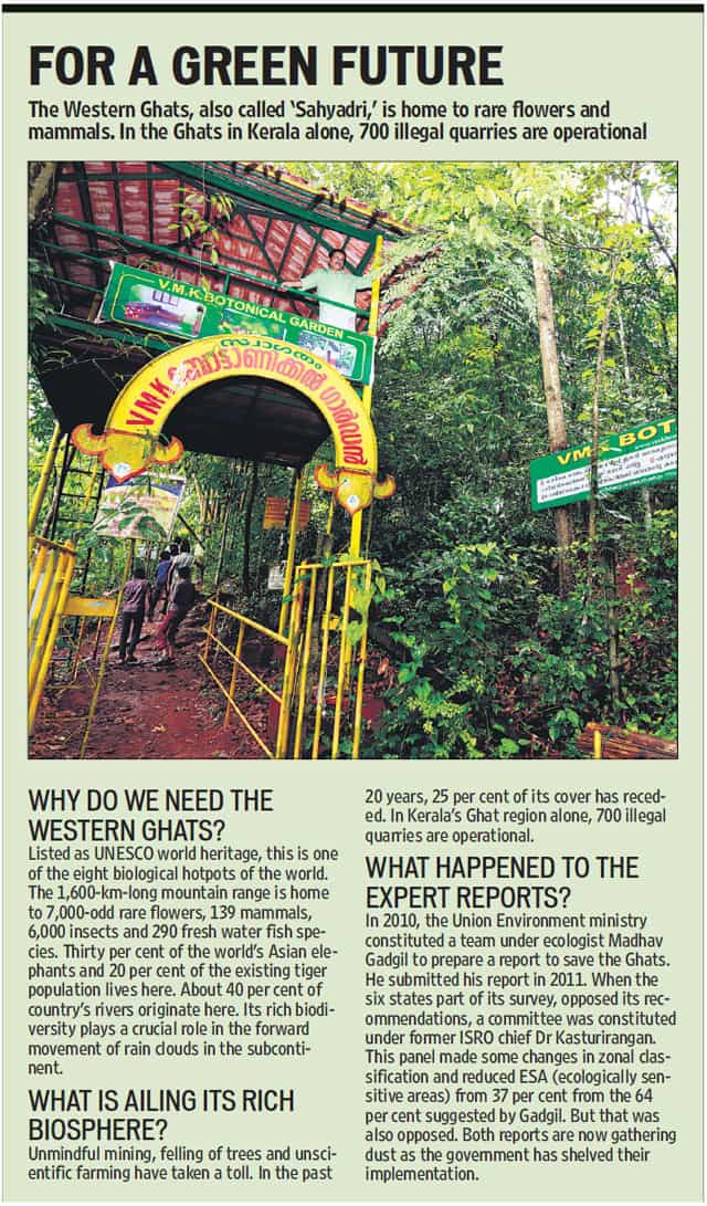 Article image Article image