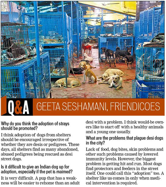 Article image Article image
