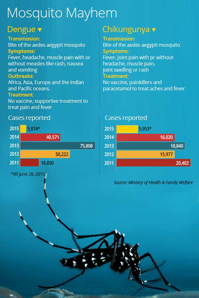 India's Dengue, Chikungunya Cases Far Higher Than Reported: Study ...