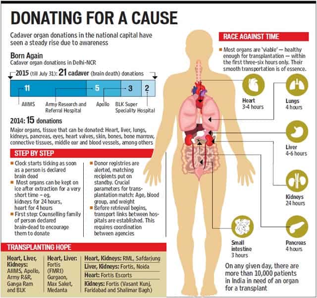 Article image Article image