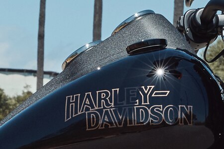 Harley-Davidson Harley Davidson Low Rider S null
