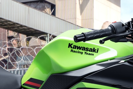 Kawasaki Ninja 300 2024 Price Mileage Colour Images Review