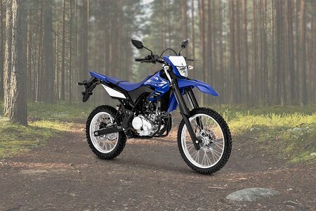 Review deals yamaha wr155