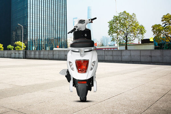 Birla Ambition Rear View