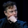 Elon Musk, Tesla CEO (Representational file photo).  (AP)