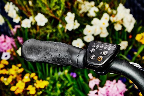 Demand for e-bikes is rising sharply. Demand for e-bikes is rising sharply.