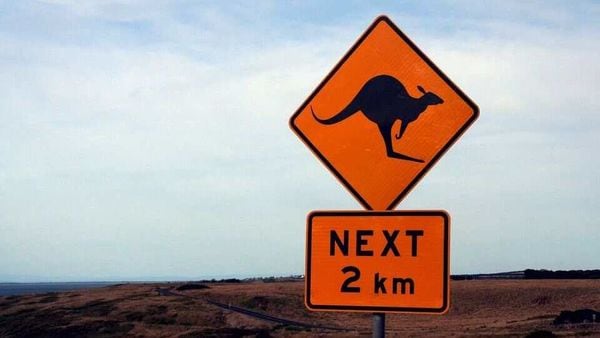 Warning signs like these are quite common on Australian roads and ask drivers to be more alert. (File photo)