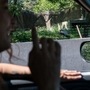 A driver gestures towards a wattled crane during the Toronto Zoo Scenic Safari in Toronto, Ontario. (Bloomberg)