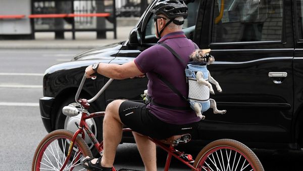 Pedal-Powered Cars : pedal-powered car