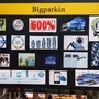 Photo of a BigParkin model showing smart parking solution. (Photo courtesy: Twitter/@rajakesarimdk)