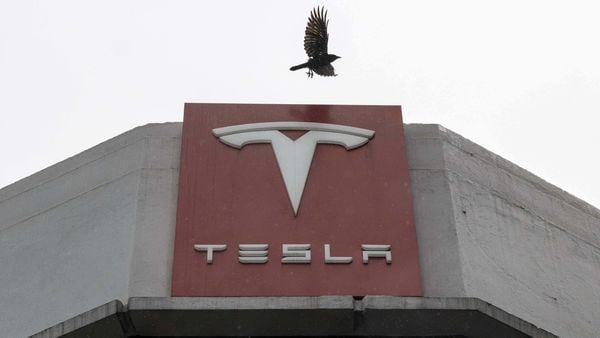 File photo - A bird flies over Tesla Inc. signage at a store in San Francisco, California, US. (Bloomberg)