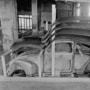 CKD Volkswagen Beetle from 1955 (Volkswagen)