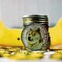 Many feel the fate of Dogecoin will rise or sink with the fortunes of Tesla CEO Elon Musk. (MINT_PRINT)