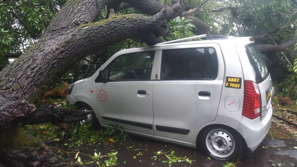A car damaged by an uprooted tree due to strong winds during the formation of Cyclone Tauktae, in Panjim. (PTI)
