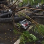 An uprooted tree can be seen on a parked two-wheeler in Navi Mumbai.