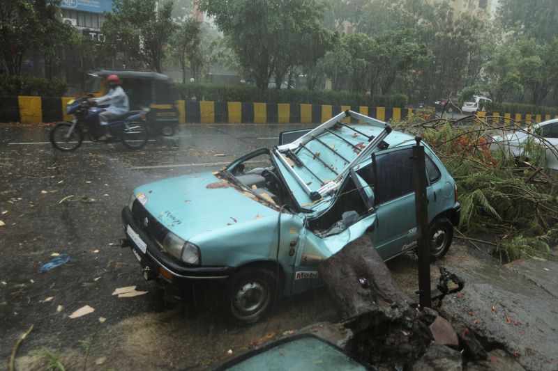 A Maruti car in a completely sorry state after a tree fell on it in Mumbai.