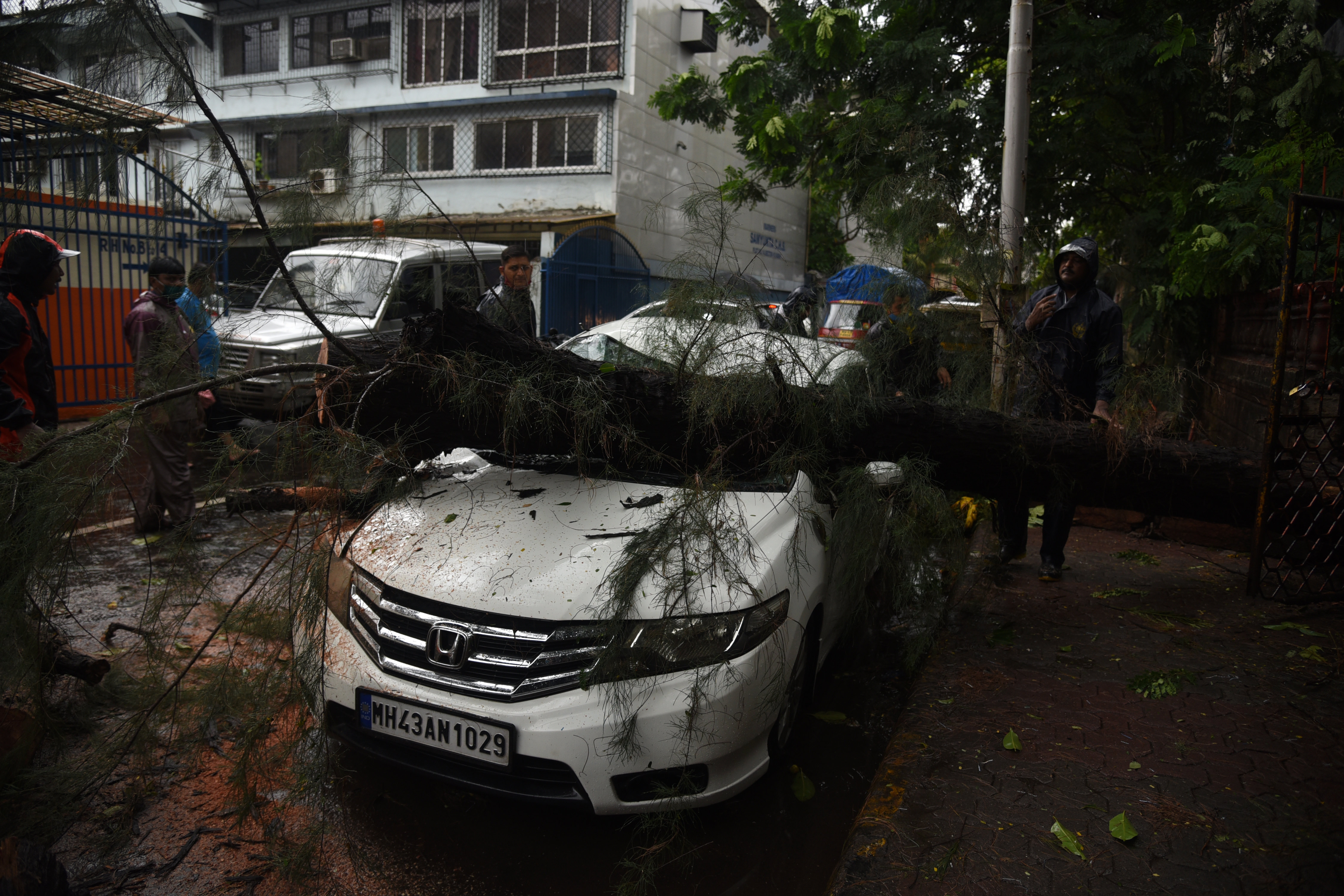 A car damaged under a collapsed tree during Cyclone Tauktae in Vashi.