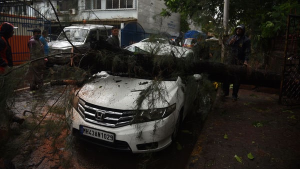 A car damaged under a collapsed tree during Cyclone Tauktae in Vashi. (HT PHOTO)