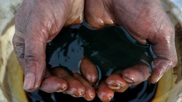 The OPEC and its allies are already in the process of reviving crude supplies halted last year in the initial stages of the pandemic. (REUTERS)