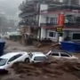 Screenshot from video posted online by Vipin Chaudhary, SHO McLeodganj)