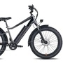 RadRover 6 Plus electric bicycle