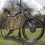 DIY wooden electric bicycle  (Image courtesy: Evie Bee)