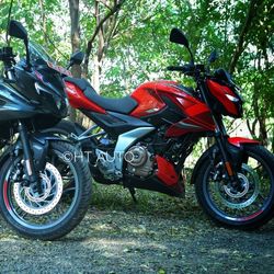 Bajaj Pulsar 250 comes in two variants - N250 and F250. While the former is a naked street version, the latter is a semi-faired model with a slightly different design and clip-on handlebars.