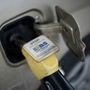 Ethanol is basically ethyl alcohol that is made from molasses, grains and farm waste. (Representational image) (REUTERS)