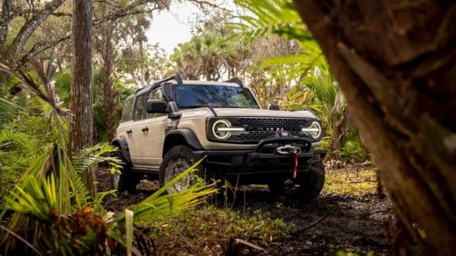 2022 Ford Bronco Everglades version comes full of rugged off-road {hardware}