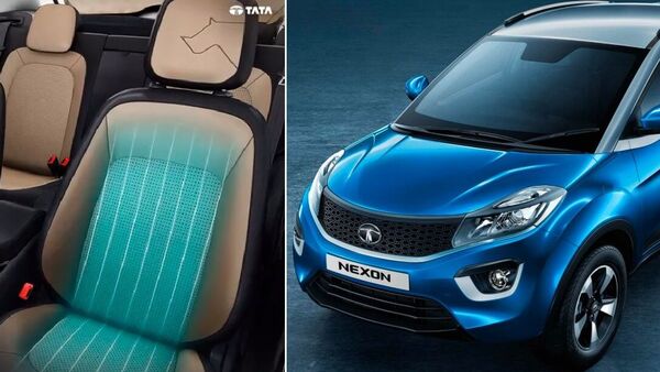 Tata Nexon Kaziranga edition will carry several motifs and easter eggs with the one-horned rhino in and around it.