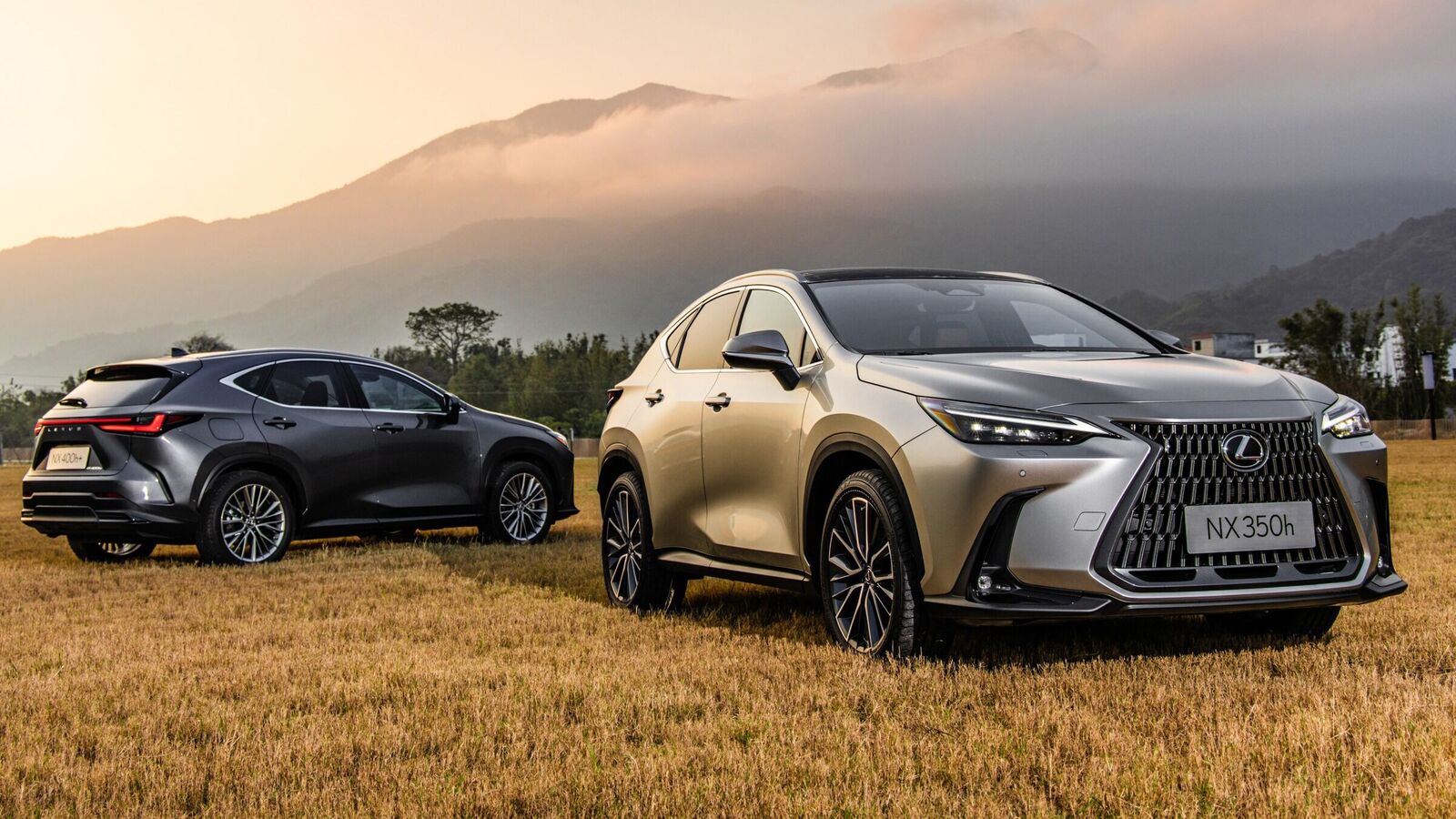 Lexus nx tips and tricks