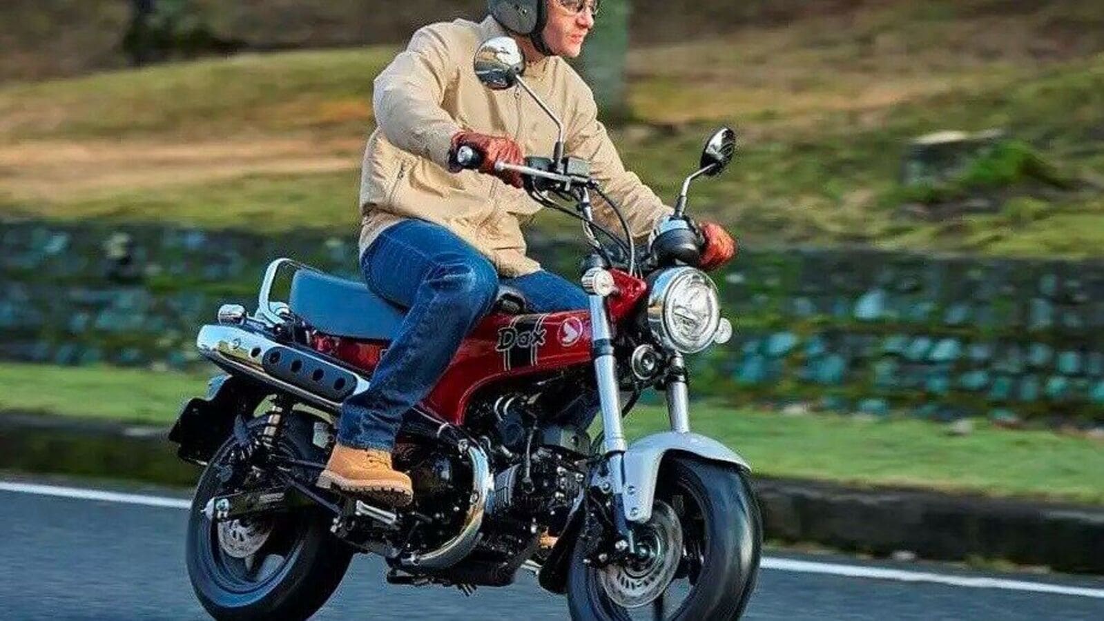 2023 Honda Dax ST125 minimoto scooter cover | Auto