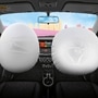 File photo of dual airbags used for representational purpose