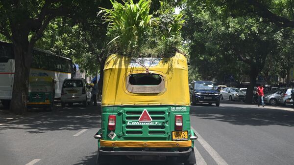 The auto rickshaw looks like a moving garden