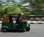 The thick patch of green on the top of the auto rickshaw keeps it cool even when temperatures are touching 45 degrees Celsius in Delhi. (AFP)