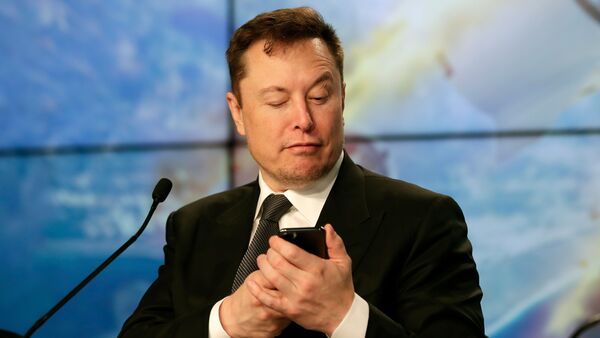 File photo of Tesla CEO Elon Musk. (AP)