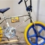 Pike mentioned his little brother first saw the bicycle in a Sears catalogue and wanted to have one. (CBC/Darryl Pike)