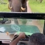 Screengrab (left) from the video of a Mahindra Bolero SUV being reversed to escape aa chasing wild elephant safari and the driver (right) with the tourists who were on board.
