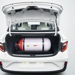 CNG kit installation should be done by professional mechanics only.