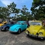 The event saw a few recently restored Split Glass Beetles and a host of Volkswagen Vans from the very early models to the later day Bay window models (AFP)