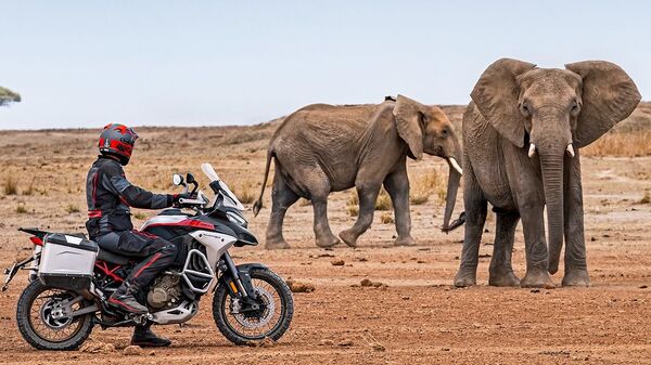 In the fourth quarter, Ducati will bring in the Multistrada V4 Rally. It will cost ₹29.72 lakh ex-showroom. In the fourth quarter, Ducati will bring in the Multistrada V4 Rally. It will cost <span class='webrupee'>₹</span>29.72 lakh ex-showroom.