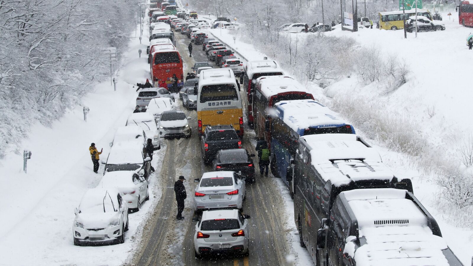 nearly-50-cars-collide-on-icy-road-in-south-korea-killing-one-and