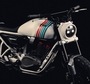 TVS_Agonda_12