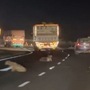 Screengrabs of a video posted on Twitter shows a man throwing goats out of a truck. (@Mohit_Casual_/Twitter)