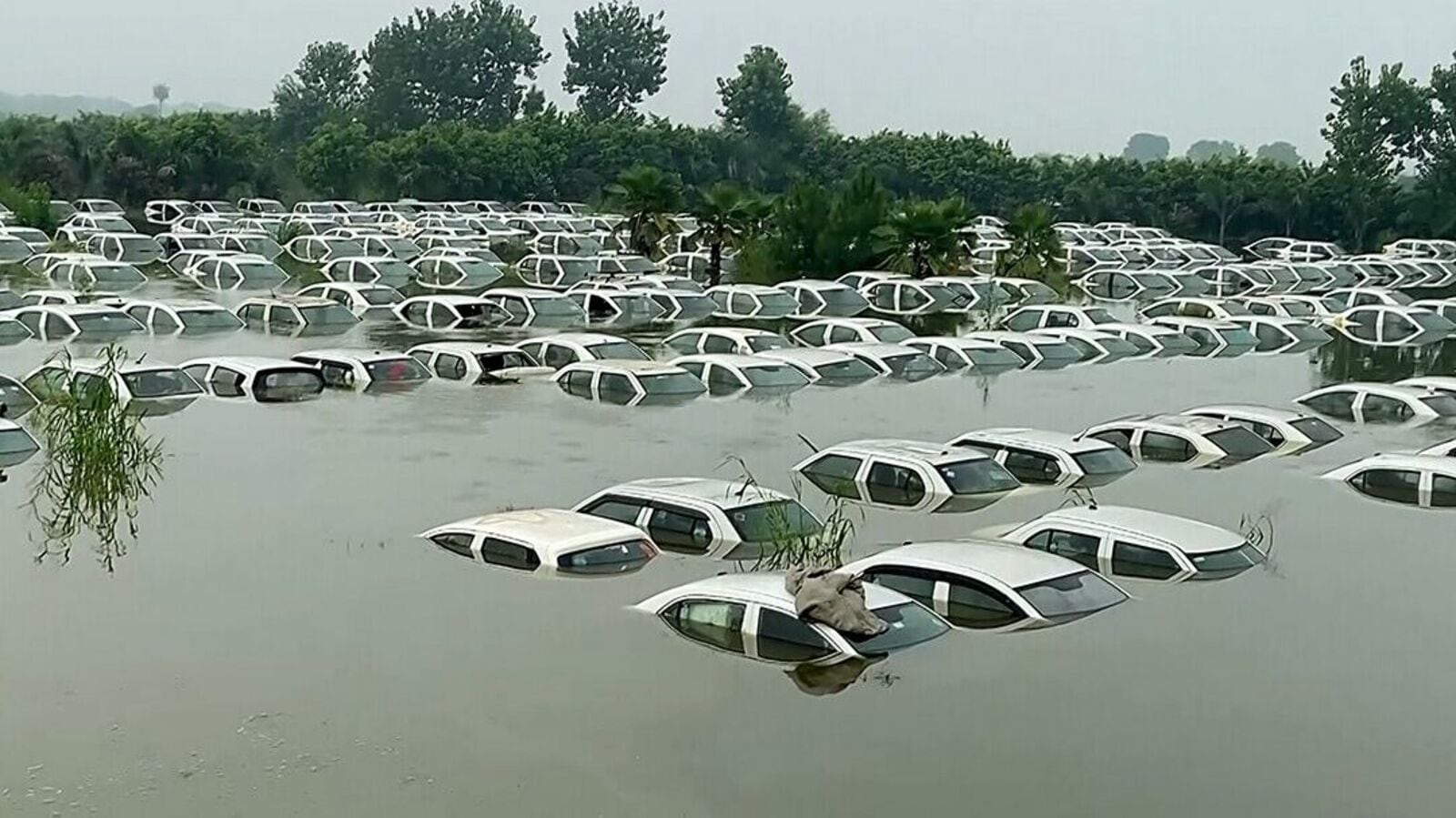 Over 300 cars submerged as rain causes flooding in parts of Noida | HT Auto