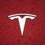 Tesla's Chief Executive Officer Elon Musk in June said the EV maker will make significant investments in the country, following his meeting with Indian Prime Minister Narendra Modi in the US. (REUTERS)