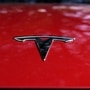 The EV policy is likely to finally make way for Tesla's arrival in India, while also attracting other major global EV players  (AP)