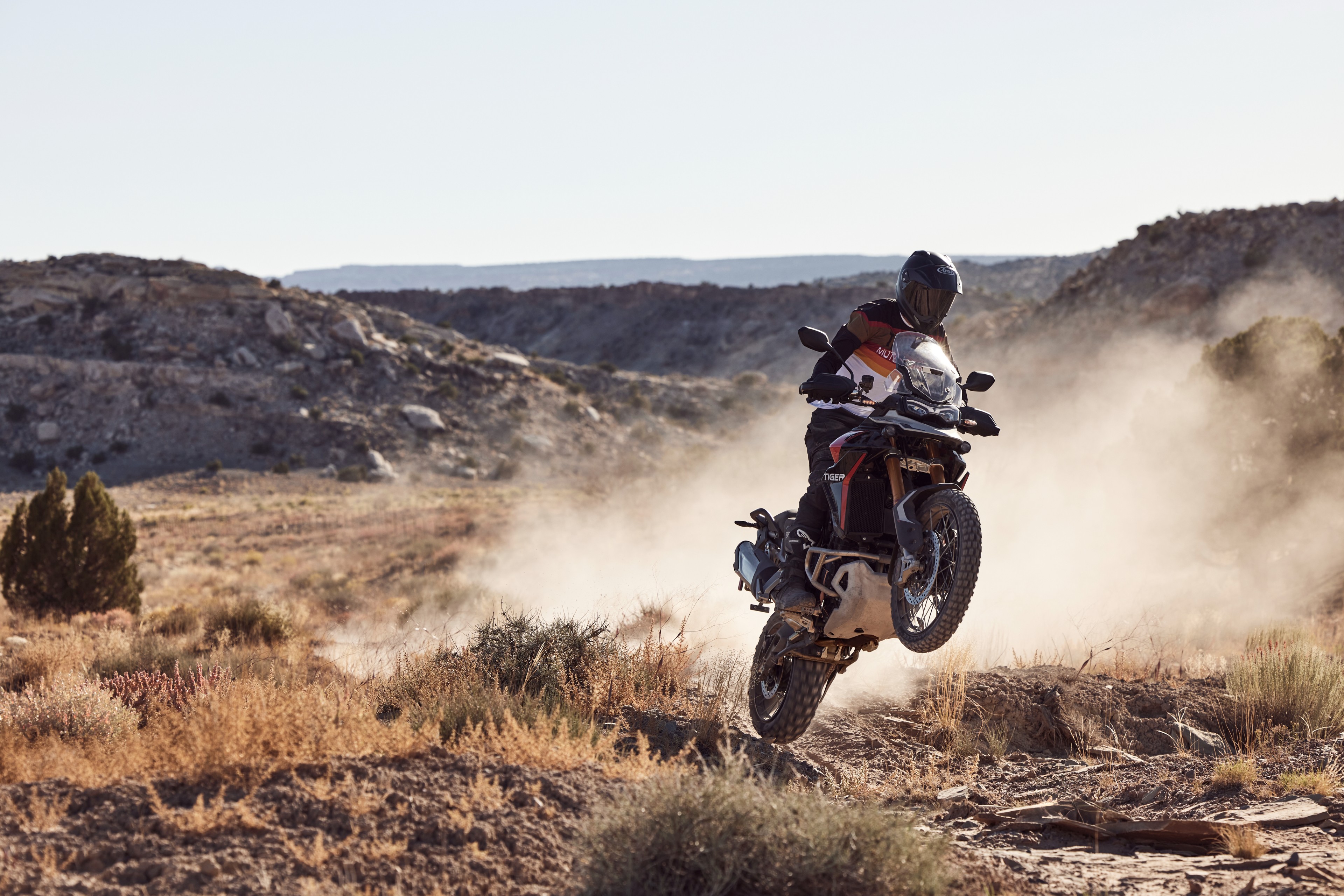 The 2024 Triumph Tiger 900 Rally Pro gets 6 riding modes as well as the long travel Showa suspension setup at the front and rear 