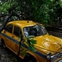 Cyclone Remal has damaged several cars in Kolkata alone, with the number soaring over 600. The majority of these vehicles have been damaged by the waterlogging of the streets, while some were damaged due to the storm. (Hindustan Times)
