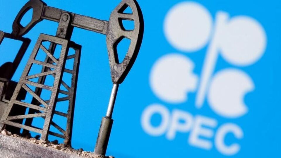 Oil